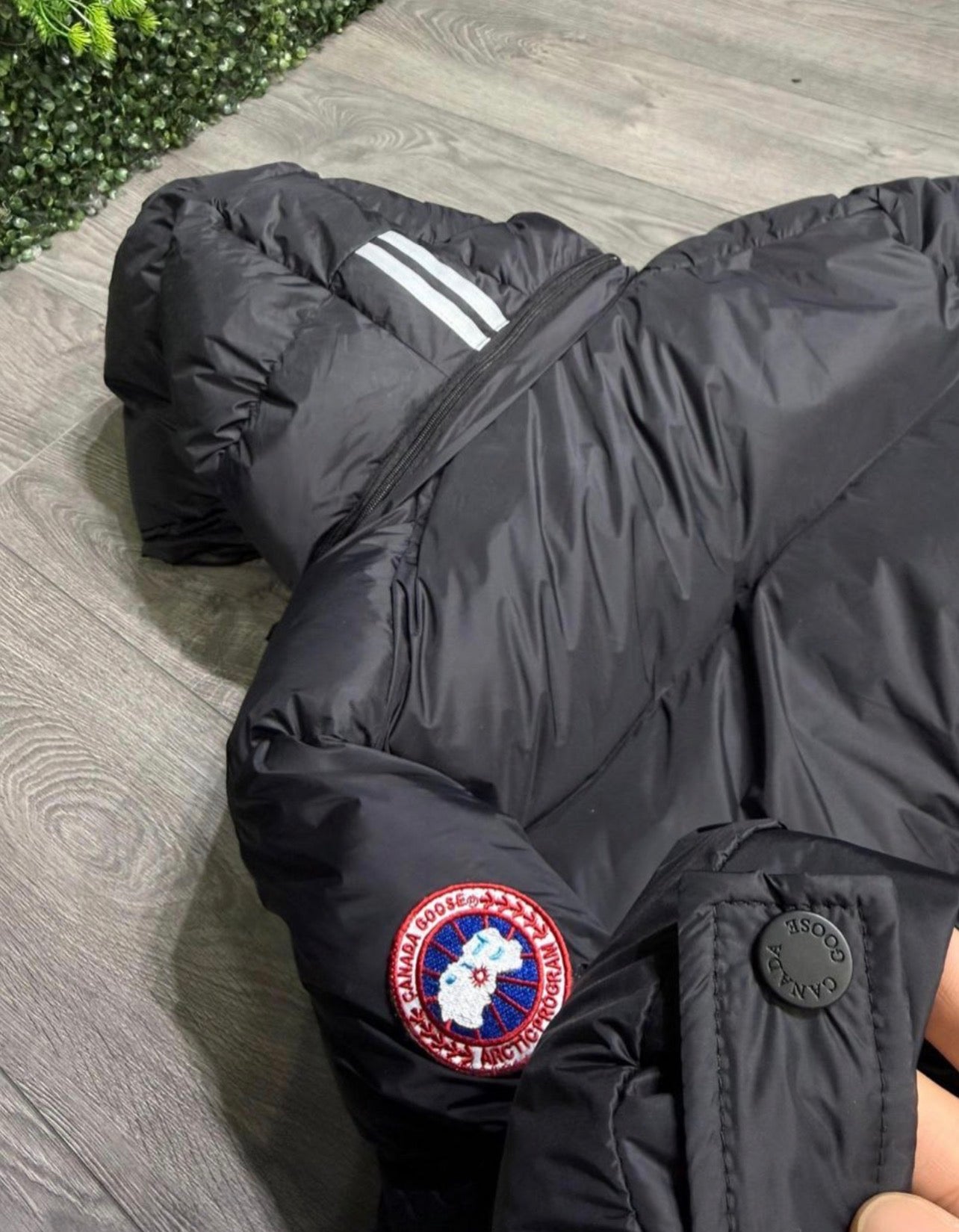 Canada Goose Jacket - 778